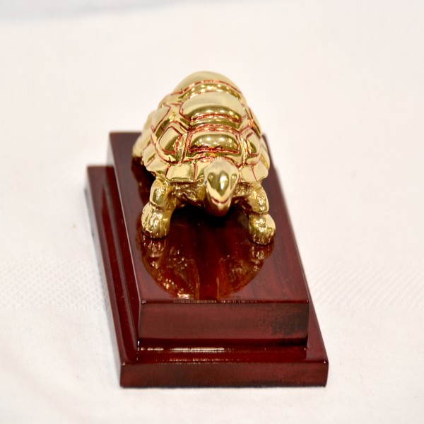 24KT GOLD AARYA TURTLE 