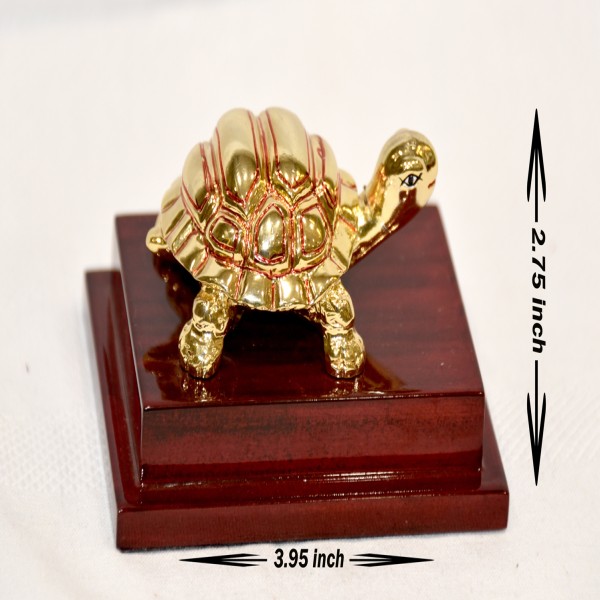 24KT GOLD AARYA TURTLE 