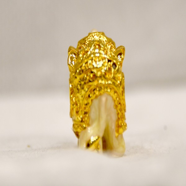 24KT GOLD AARYA ELEPHANT PAIR