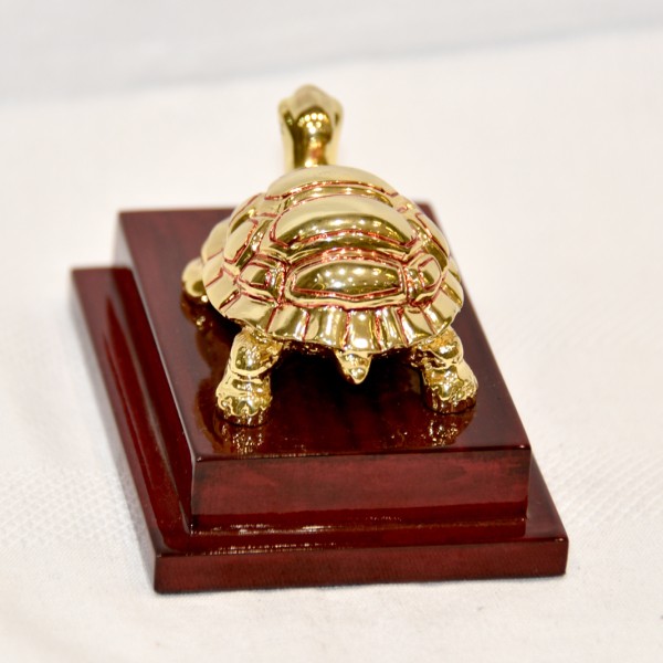 24KT GOLD AARYA TURTLE 